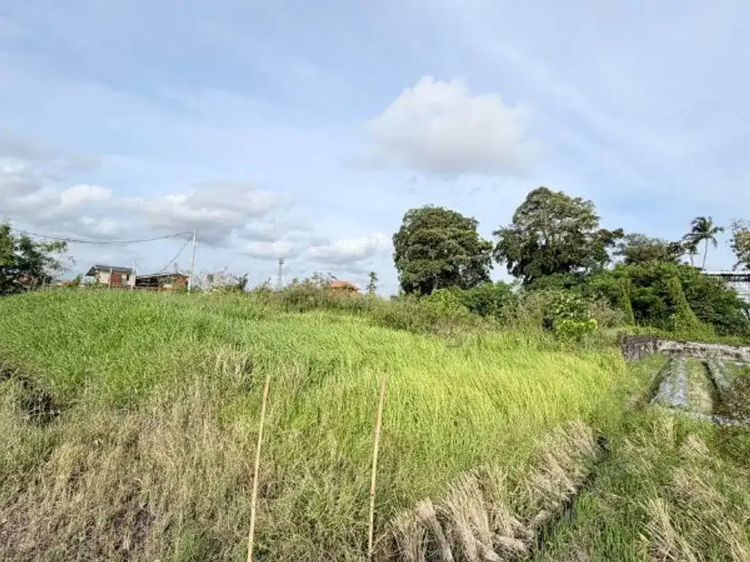 LEASEHOLD TANAH DEKAT PANTAI CEMAGI MENGWI BADUNG - Image 2 of 10
