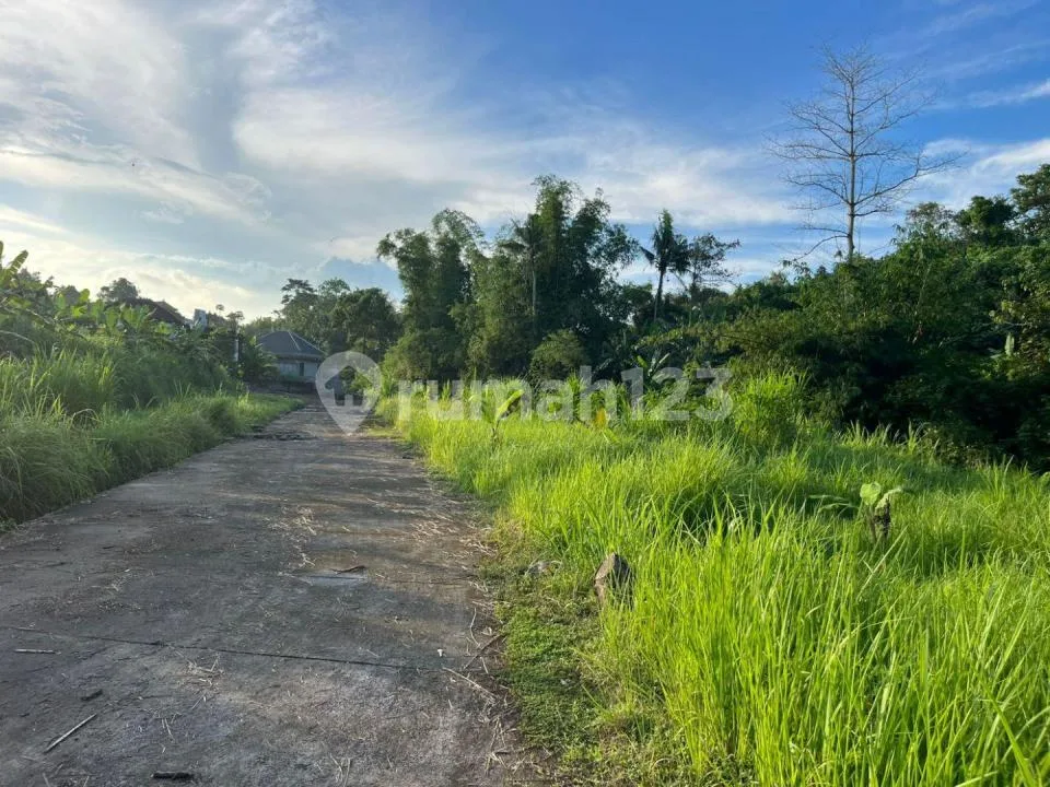 Bu! Tanah 2,4 Are Dijual Murah di Pandak Tabanan - Zona Kuning - Hanya Rp 900 Juta - Image 2 of 4