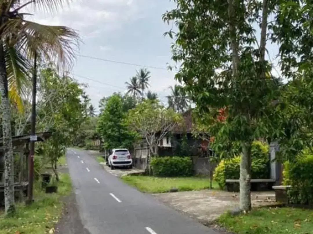 TANAH STRATEGIS DEKAT BYPASS DI MEGATI TABANAN BADUNG - Image 4 of 6