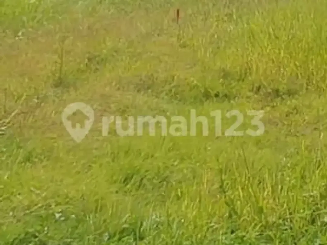 Exclusive Land 400 Meter & 1200 Meter For Lease Near Pantai Lima Beach - Prime Canggu Location - Pererenan Canggu Bali - Image 5 of 5