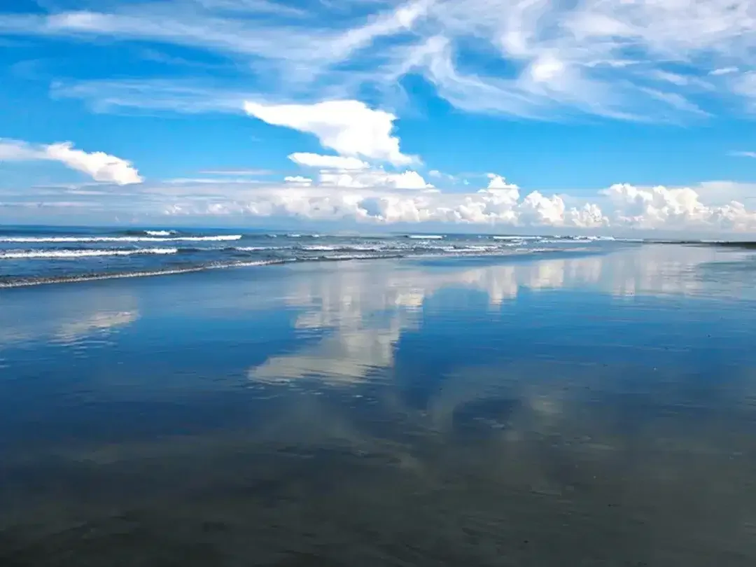 Amazing 37,915 Sqm Beachfront Freehold Land In Jembrana Negara - Image 1 of 10