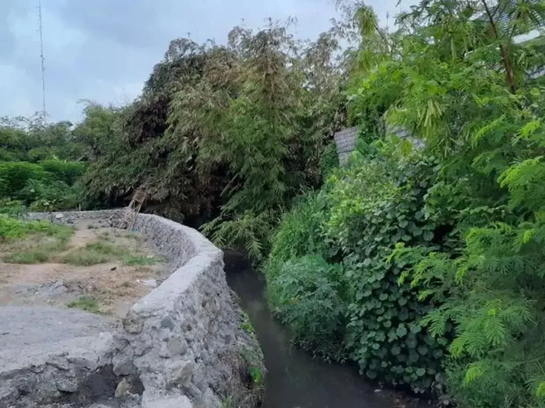 TANAH SUBAK TELAGA KETEWEL GIANYAR - Image 4 of 8