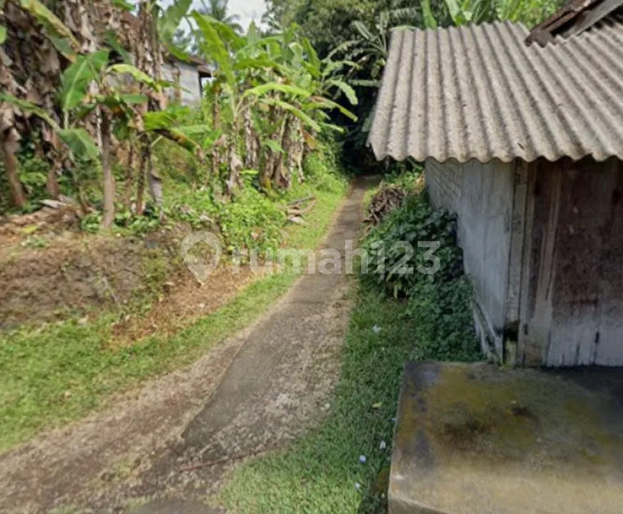 Tanah Sawah Produktip Tampak Siring Pejeng Gianyar Bali - Image 2 of 4