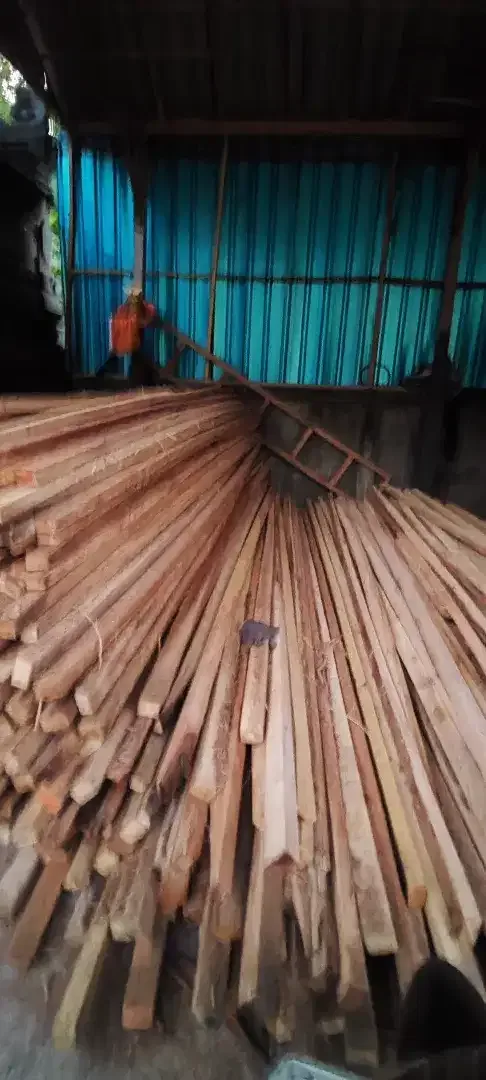 Dijual Kayu Usuk Lokal - Image 2 of 4