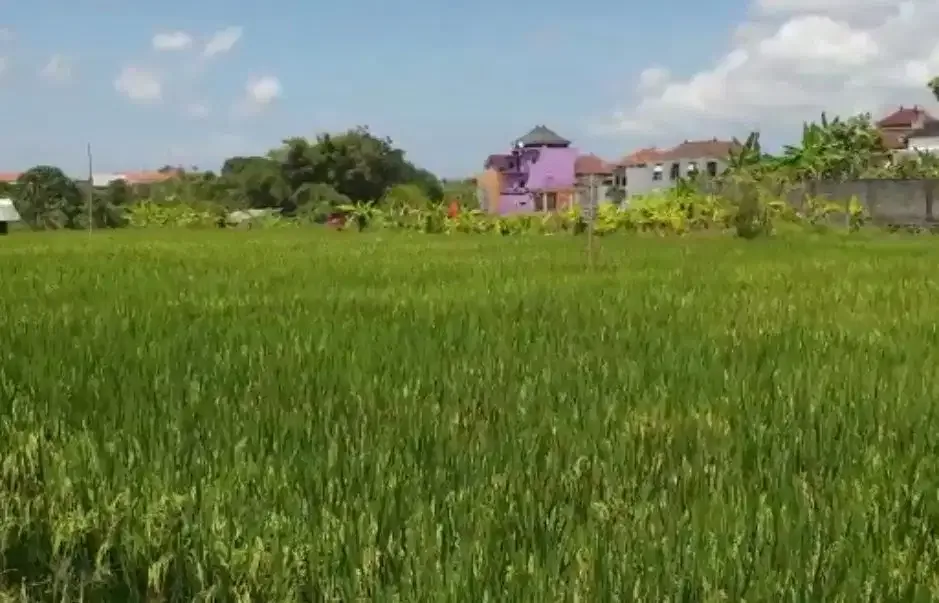DIJUAL TANAH ZONA PERUMAHAN LOKASI KEROBOKAN - Image 4 of 9