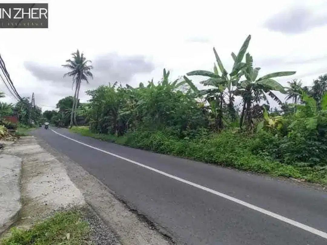 Dijual tanah komersil di jalan utama kedungu kawasan pantai - Image 1 of 9