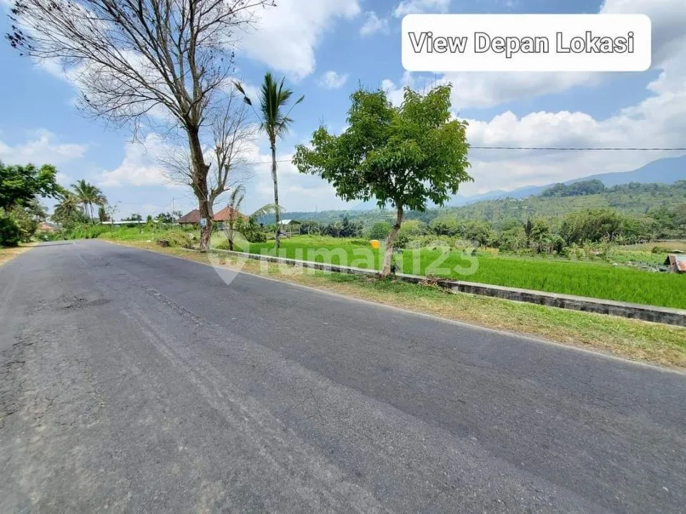 Dijual Tanah 76,85 Are View Gunung dan Sawah Dekat Jembatan Tukad Bangkung Petang - Image 1 of 4