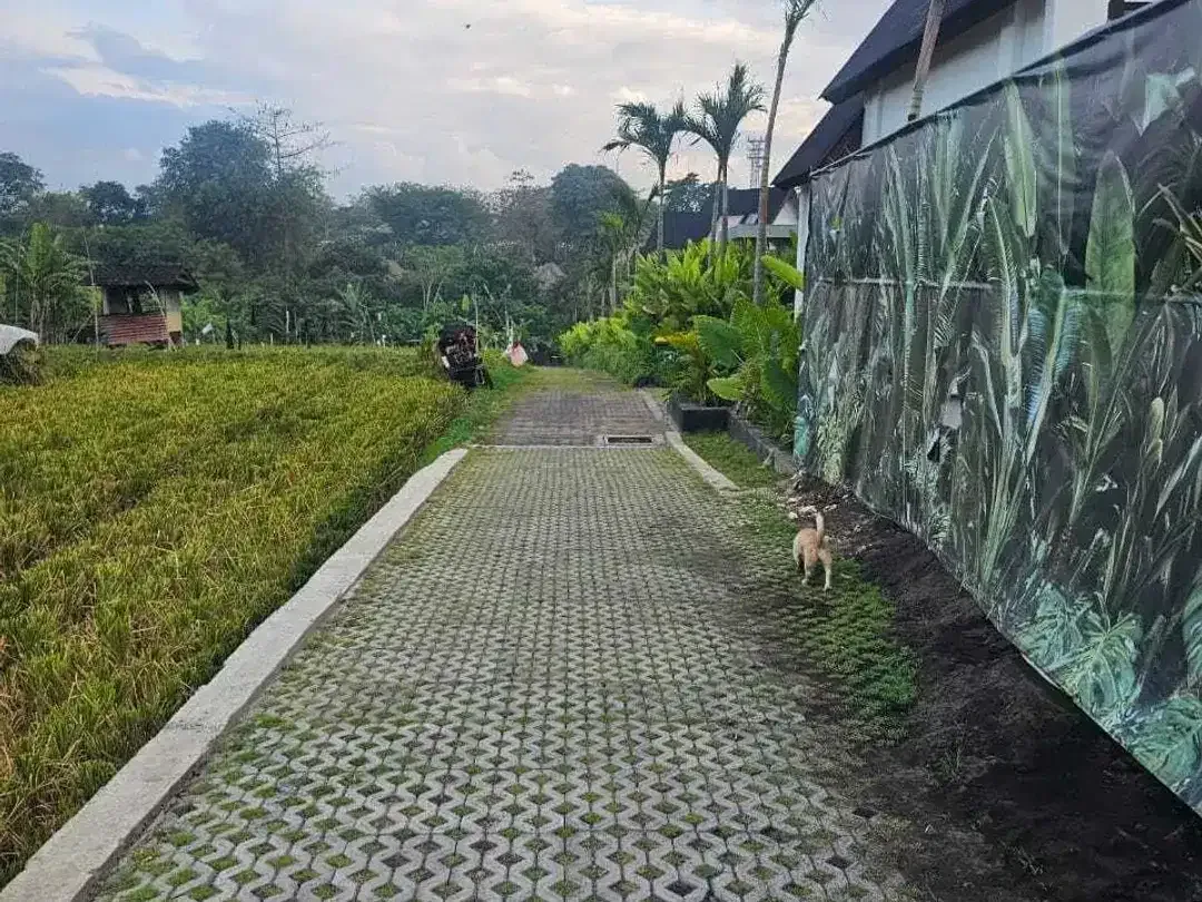 Land for sale in Kerobokan, Bali - Image 4 of 4