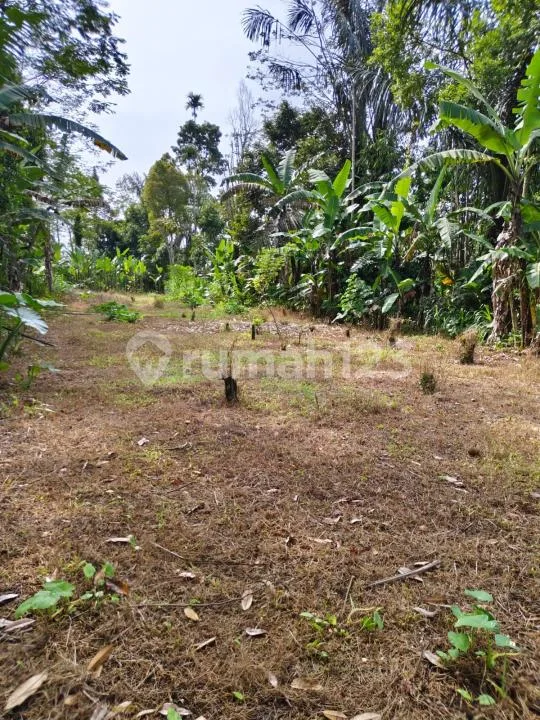 Dijual Tanah Strategis - Payangan, Ubud Utara Cocok untuk Vila - Image 1 of 4