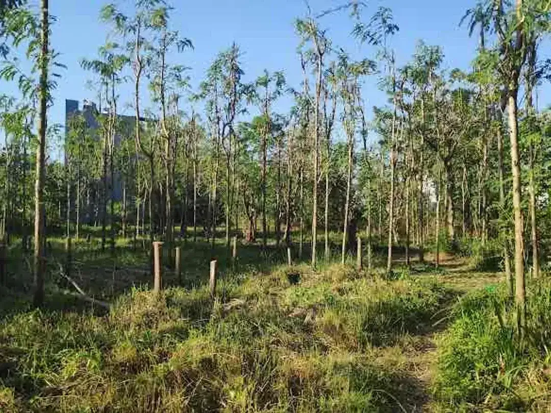 Dijual tanah kavling berlokasi di Jimbaran Bawah - Image 4 of 10