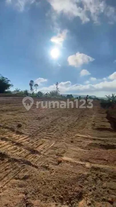 Tanah Zona Kuning Munduk Gobleg Bedugul #6846 - Image 3 of 4