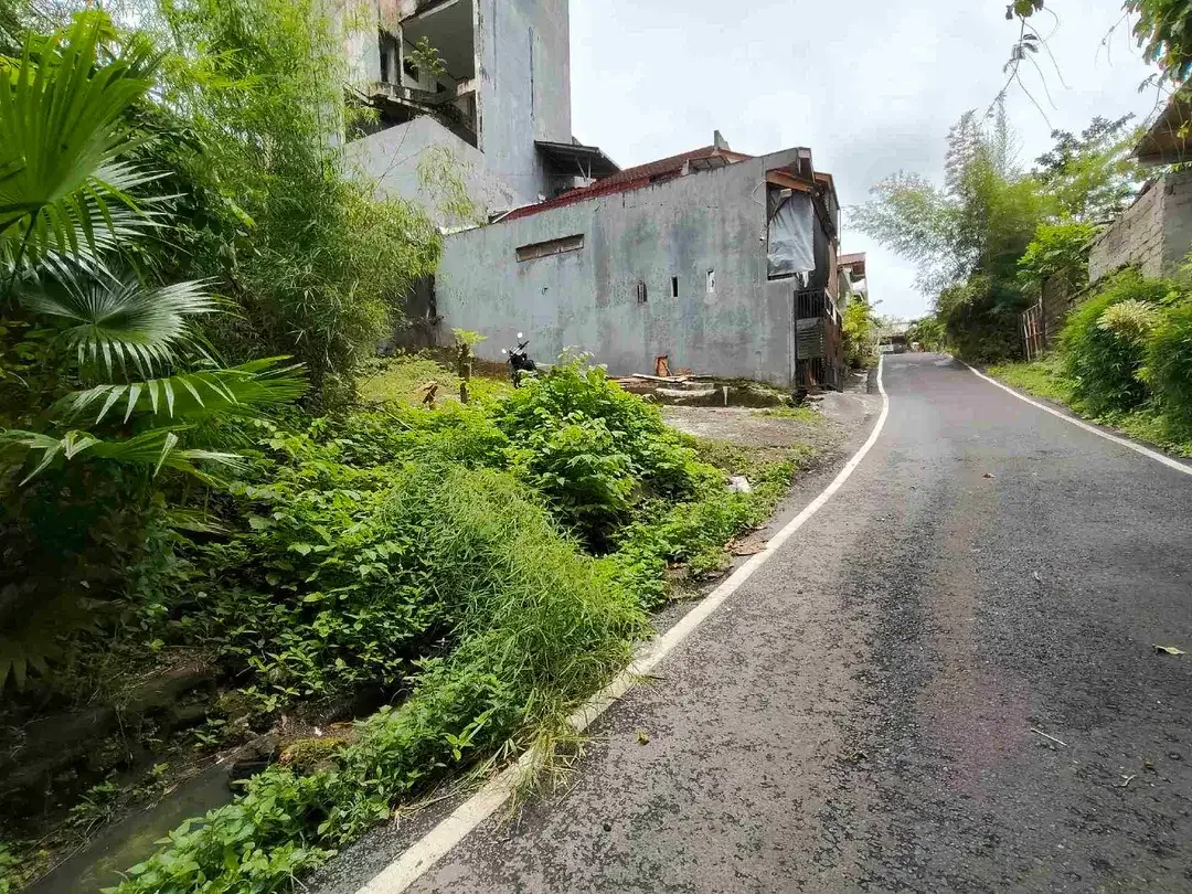 Yellow Zone Land close Nirmala Ungasan and Main Road Balangan Beach - Image 3 of 6
