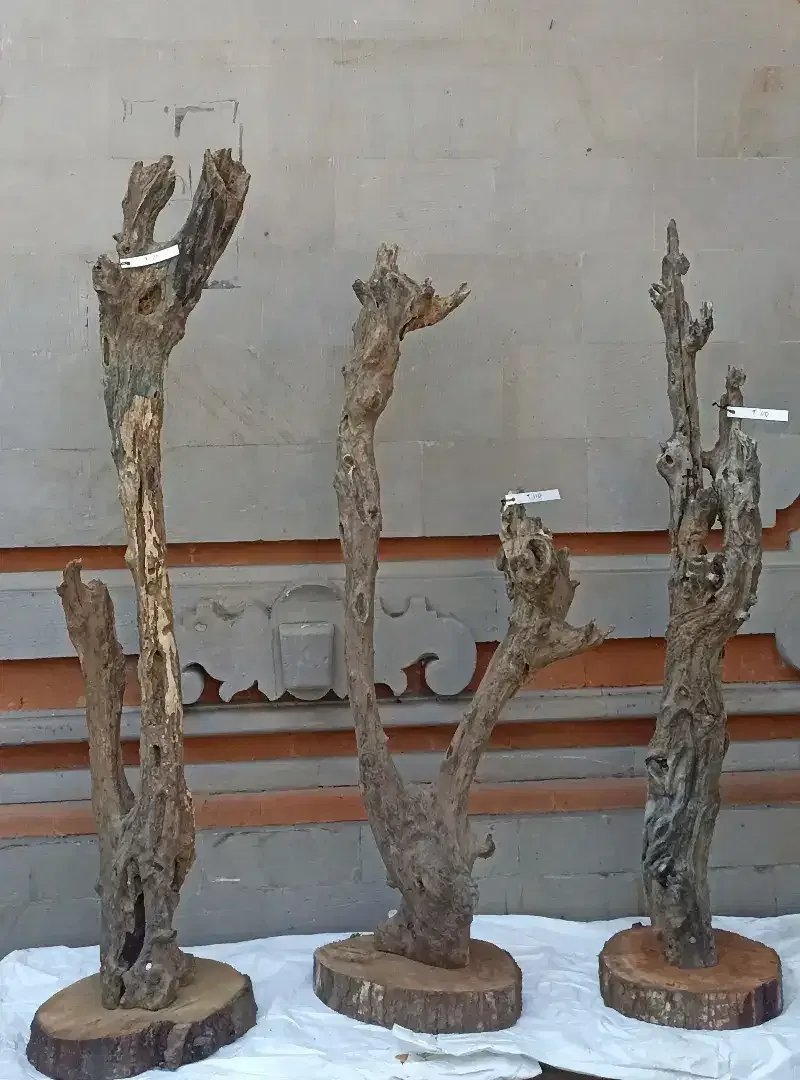 Kayu fosil estetik - Image 5 of 5
