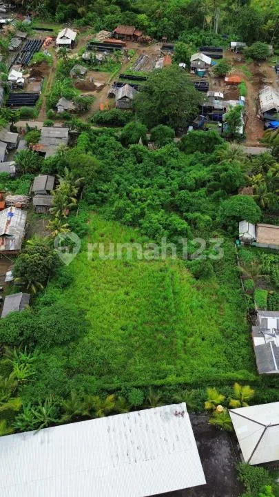 Tanah Lokasi Strategis di Jalan Utama Selukat, Gianyar - Image 1 of 3
