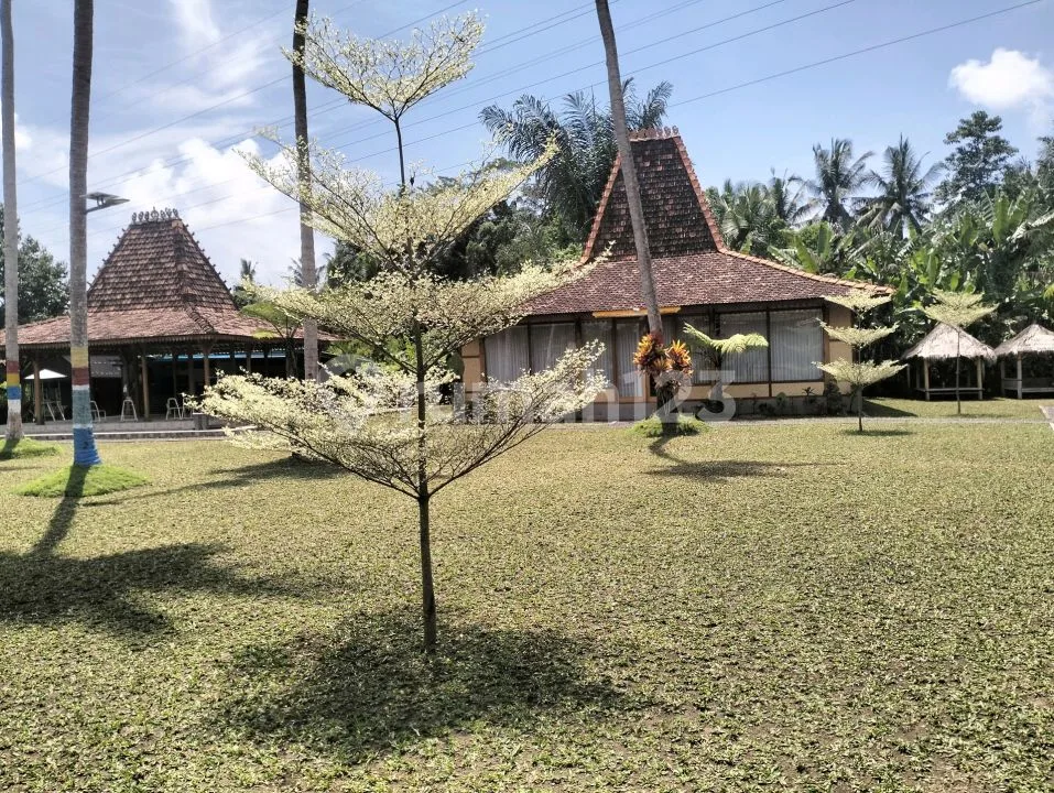 Villa Murah Badung Bali Luas 3800m2 - Image 4 of 4