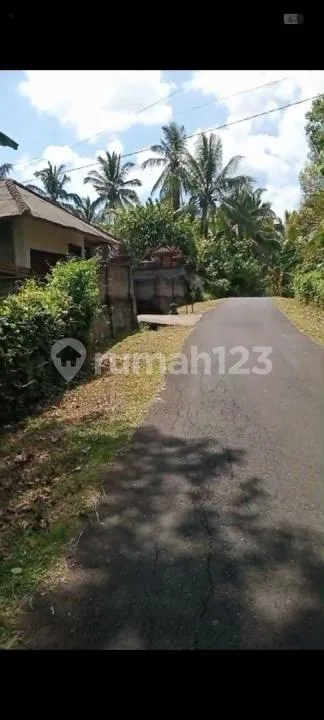 Jual Tanah Kebun Durian Murah di Tabanan - Image 4 of 4