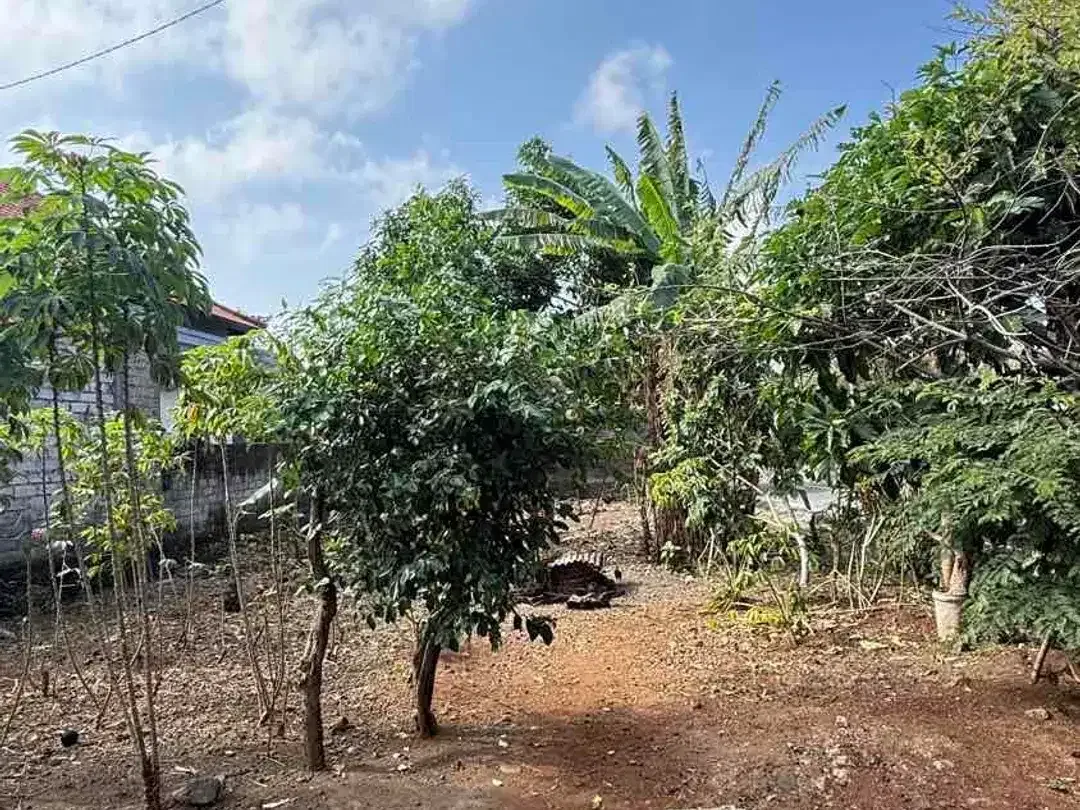 DIJUAL TANAH HOOK STRATEGIS DEKAT GWK – UNGASAN, BALI - Image 5 of 10