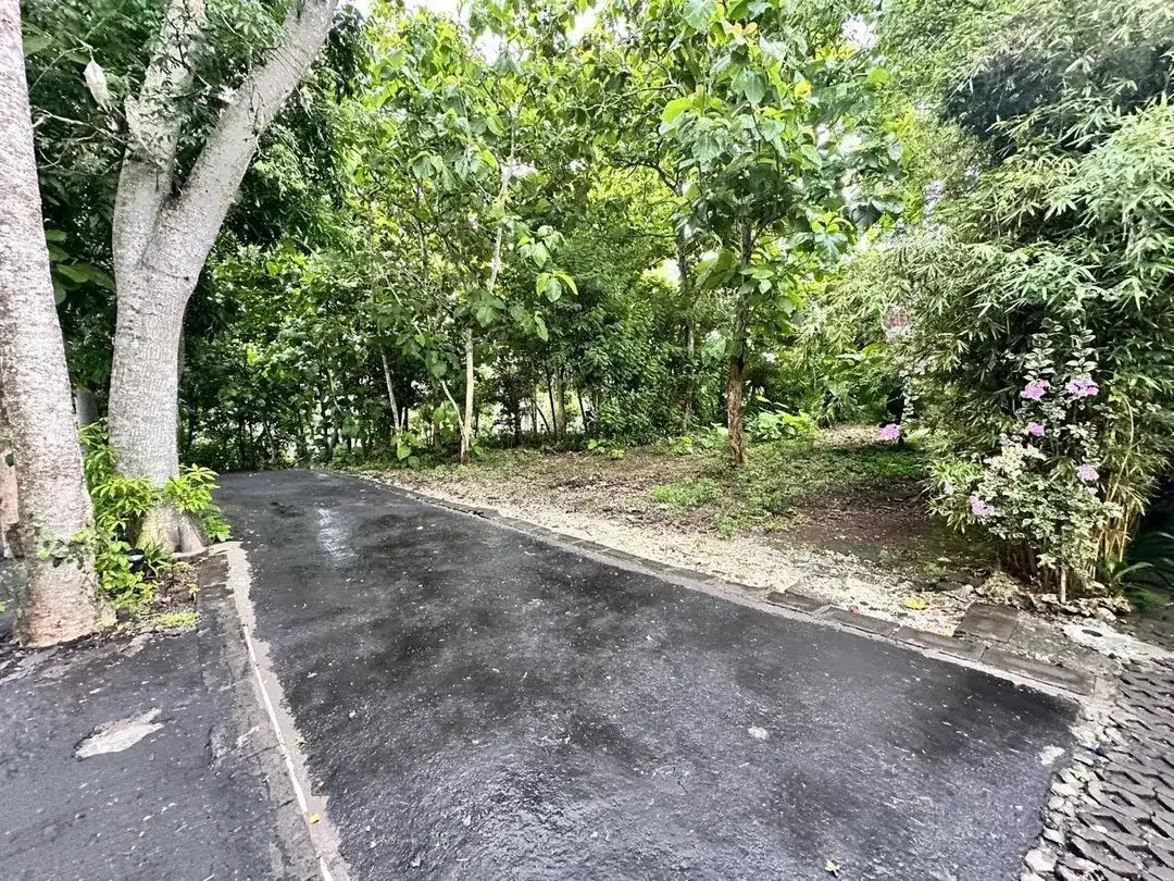 Tanah MURAH Lingkungan Villa Jl Belimbing Sari Pecatu - Image 5 of 10