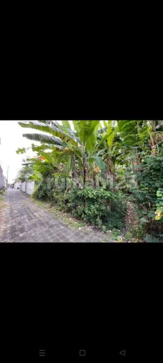 Di Jual Tanah Lokasi Batu Belig Seminyak Badung - Image 2 of 4