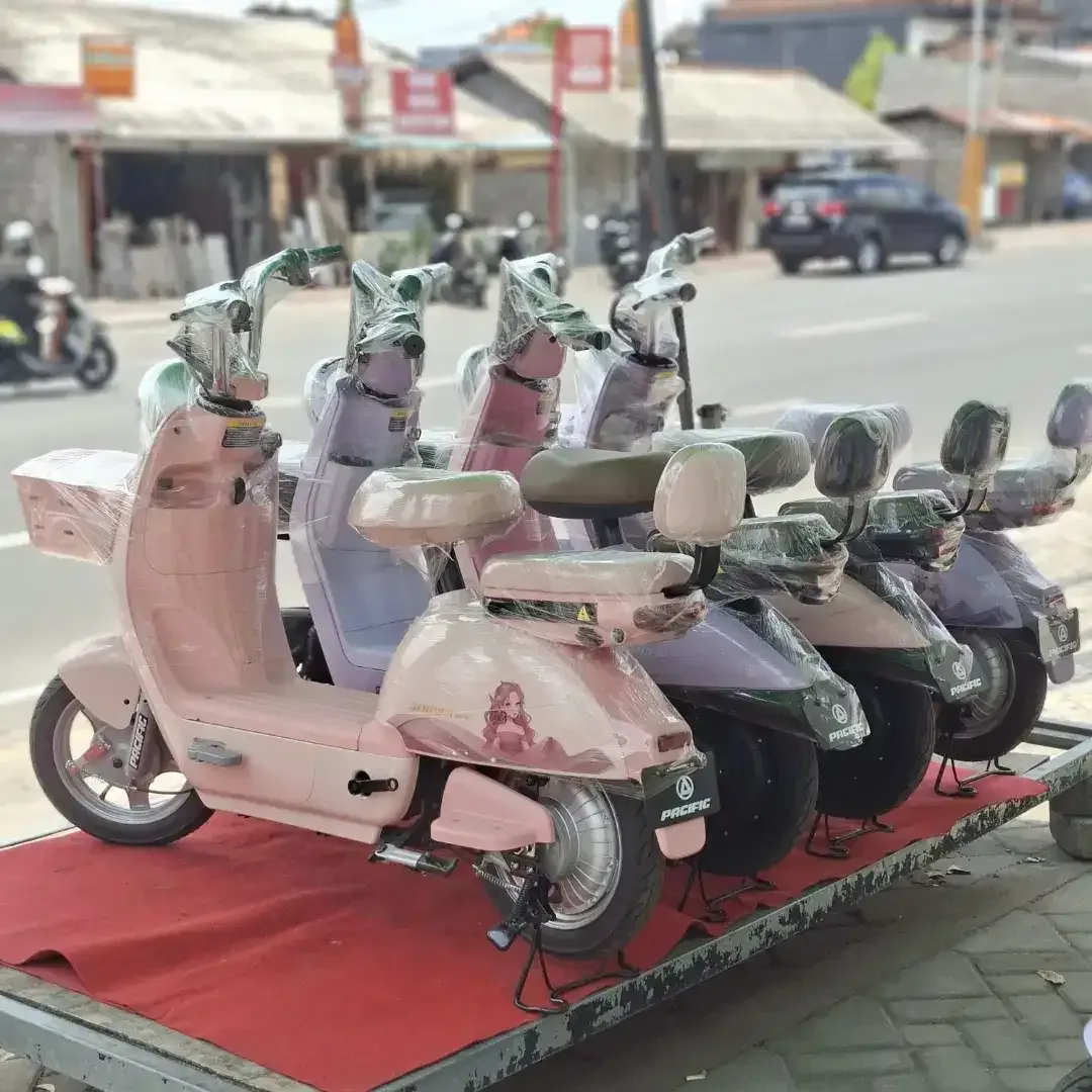 Sepeda Listrik Baru Bergaransi 2 Tahun - Image 2 of 3
