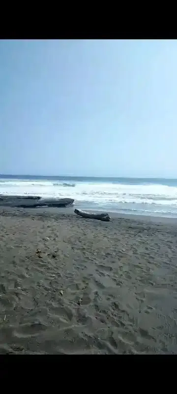 6000 m2 land for sale in pantai klecung Tabanan BALI - Image 2 of 8