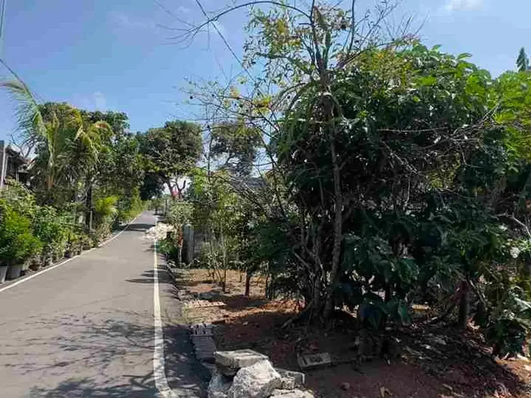 Dijual Tanah Murah Hook 280m2 Di Ungasan Bali - Image 5 of 7