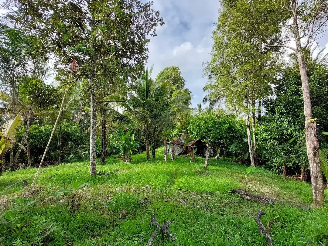 5.850 Sqm of Freehold Land for Sale with Beautiful Mountain View - Image 4 of 10