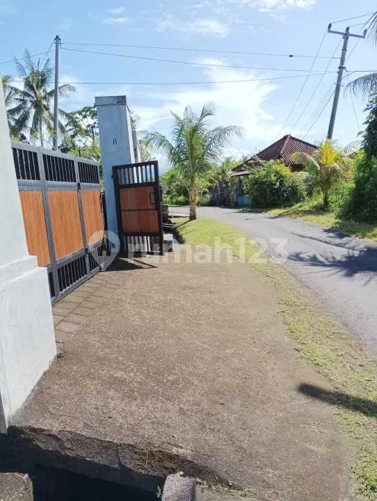 Investasi Dibali Yu! Rumah Tanah Luas Tabanan Bali - Image 4 of 4