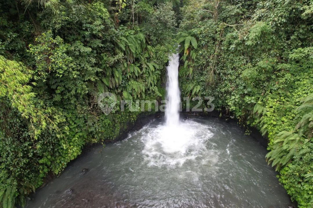 Tanah 98 Are Berisi Air Terjun Pinggir Aspal Lemukih Buleleng Bali - Image 2 of 4
