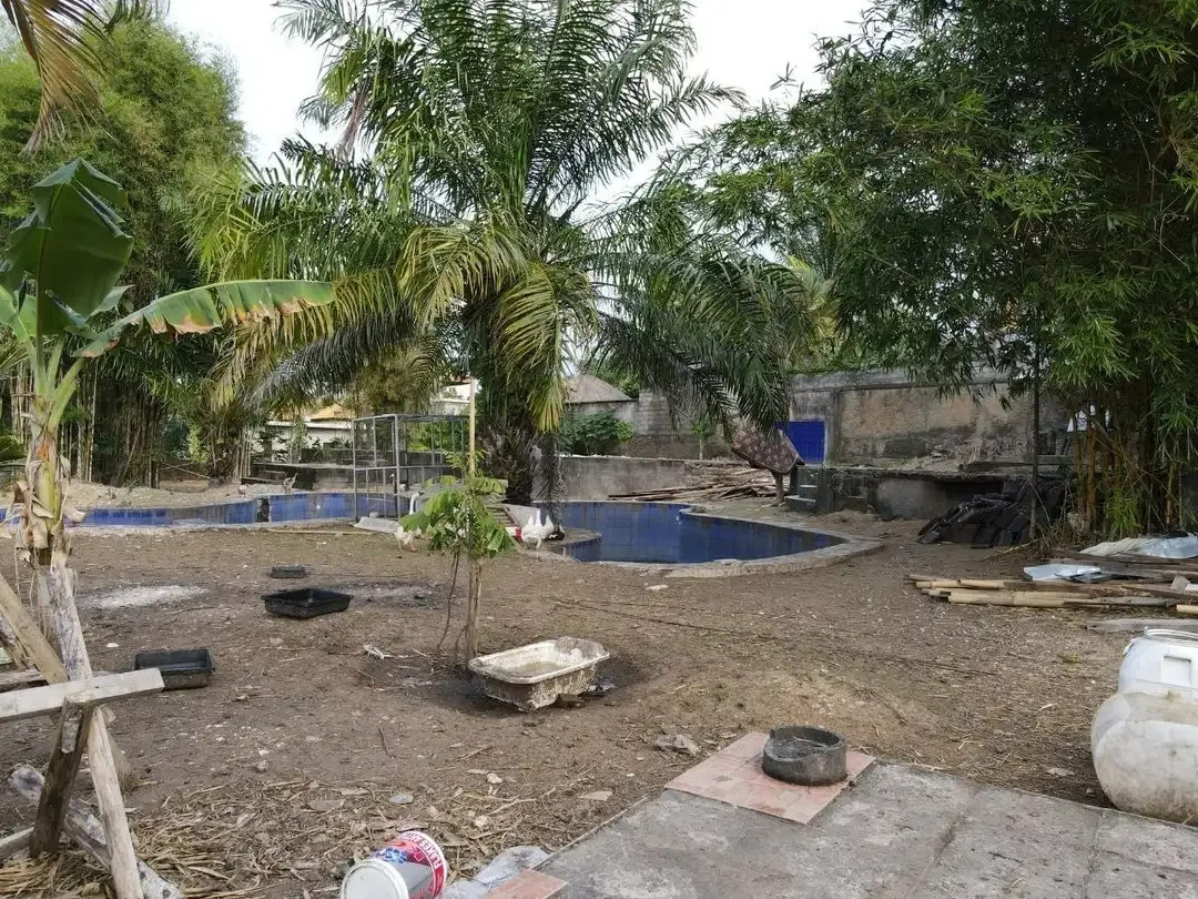 Tanah Strategis Jl Pantai Balangan Ungasan - Image 3 of 7