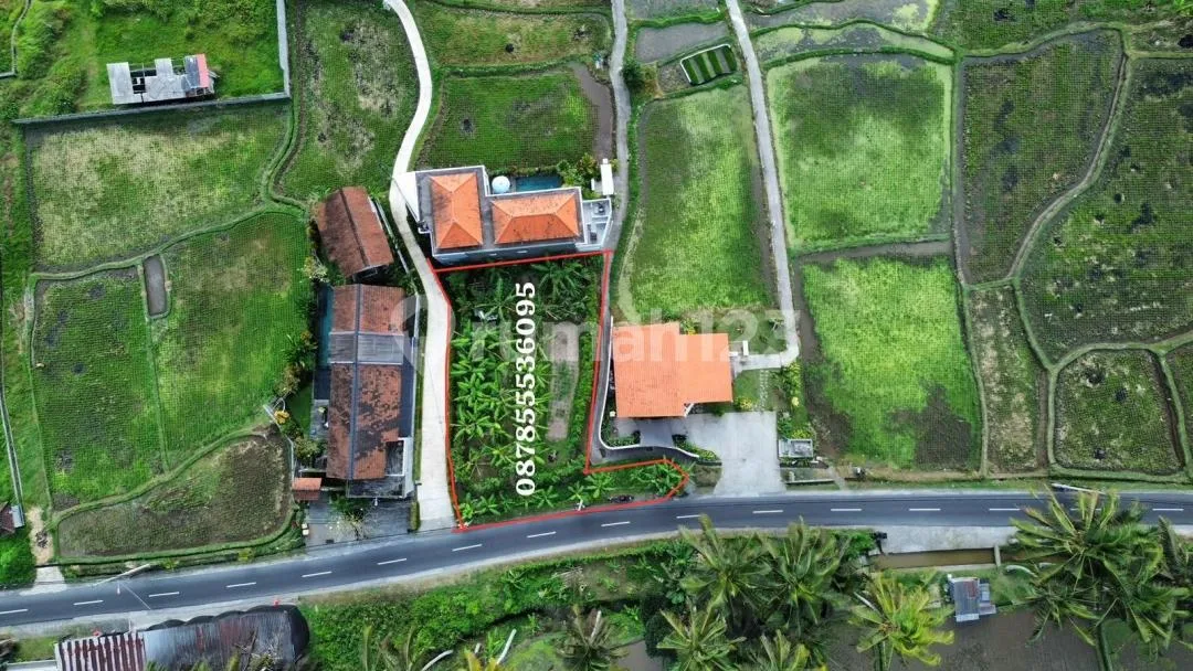 Dijual Lahan Premium & Langka - Jalan Cinta, Ubud Lok Strategis - Image 2 of 4