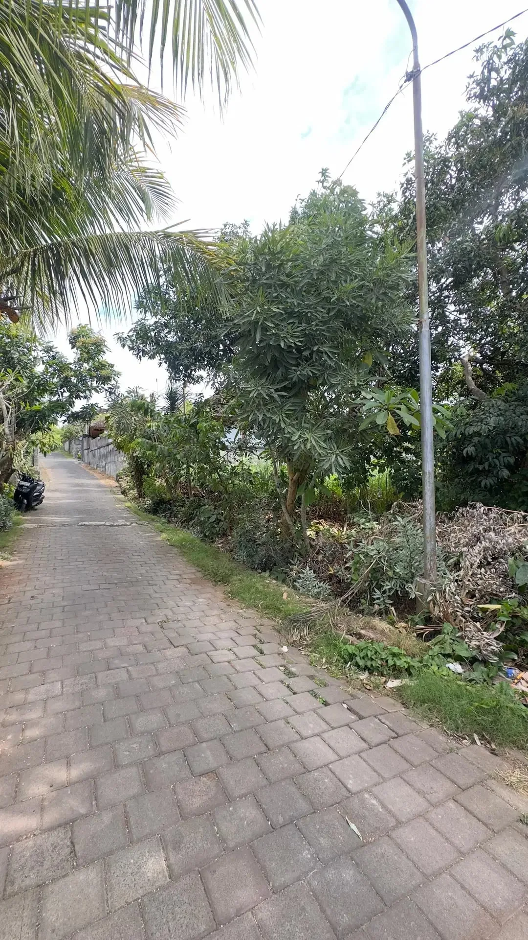 Dijual Tanah Plot Kecill 200m2 di Kawasan Bingin Uluwatu Bali - Image 2 of 10