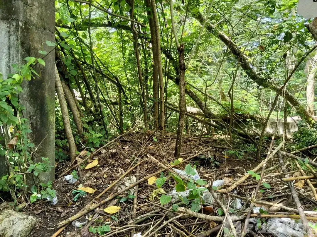 Land for sale in Uluwatu, Bali - Image 3 of 5