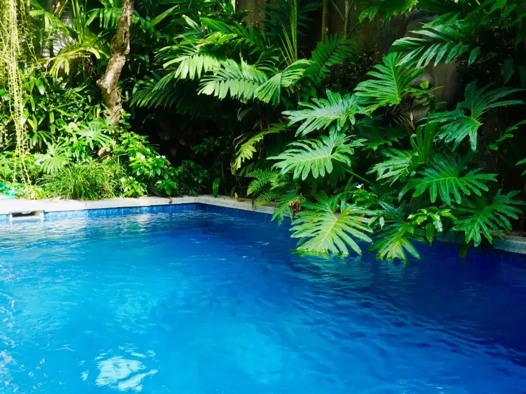 3 Bedroom Villa for sale in Denpasar Selata, Bali - Image 6 of 10
