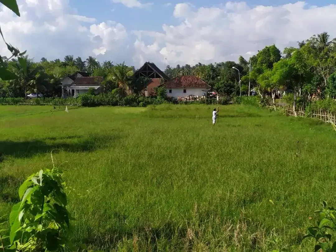 Dijual Tanah Hook Position & Tourism Zone, Los Pantai di Pebuahan – Investasi Pariwisata Bali Barat - Image 6 of 10