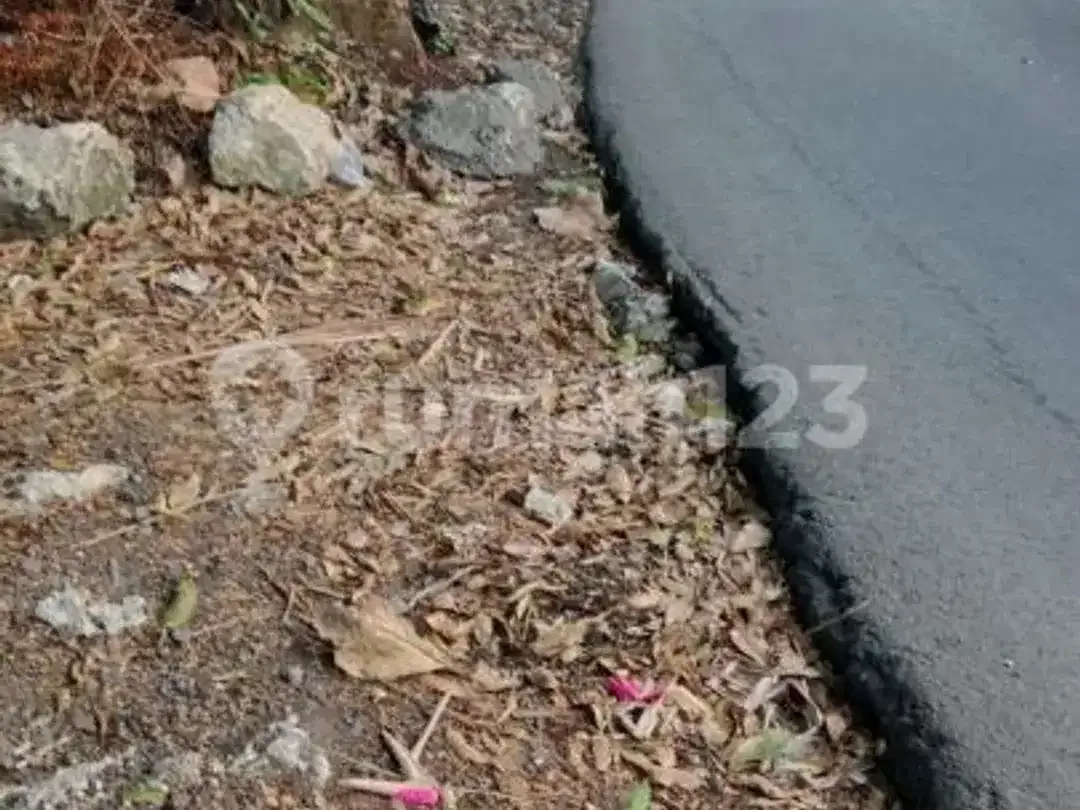 Disewakan Tanah Potensial untuk Usaha dan Bisnis - Image 6 of 10