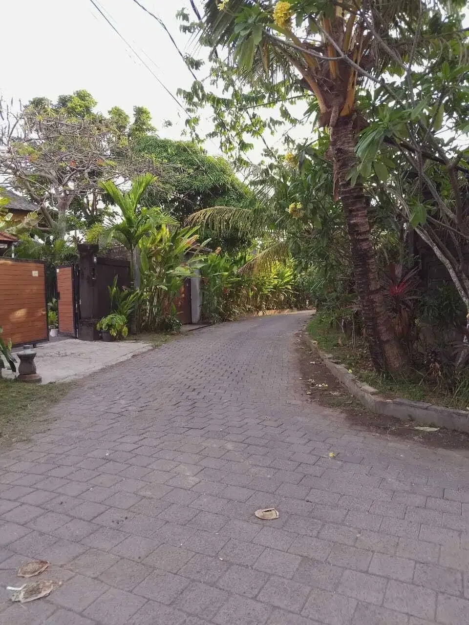 HOT LISTING, DIJUAL TANAH LINGKUNGAN VILLA LOKASI BERAWA - Image 2 of 5