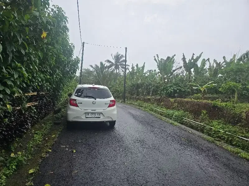 Dijual tanah kebun durian view lembah dan gunung - Image 8 of 8