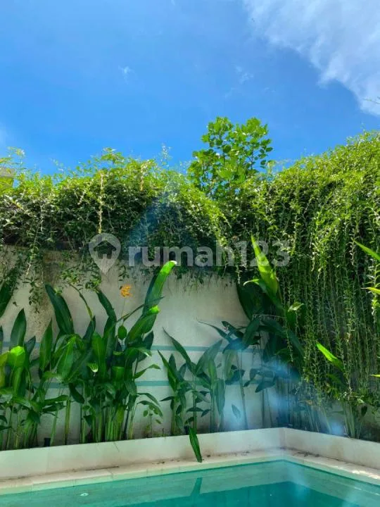 Disewakan Villa Full Furnished Area Padonan Canggu - Image 3 of 4