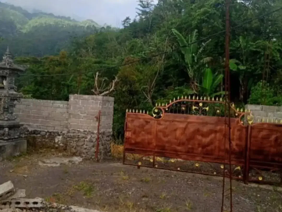TANAH LUAS DI KAWASAN WISATA BARU BALI UTARA BULELENG - Image 3 of 10