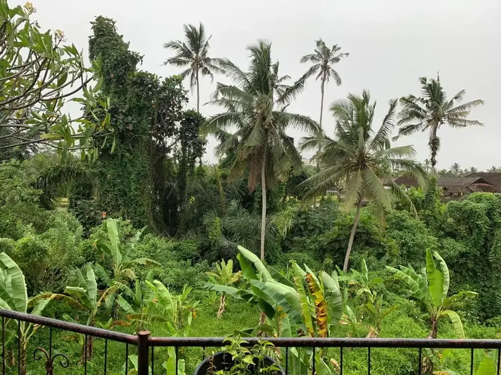 TANAH VIEW SAWAH DAN SUNGAI JALAN UTAMA UBUD - Image 2 of 5