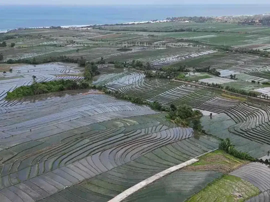 Dijual Tanah Pariwisata SHM 37 Are View Sawah dan Pantai Pasut Bali - Image 5 of 10