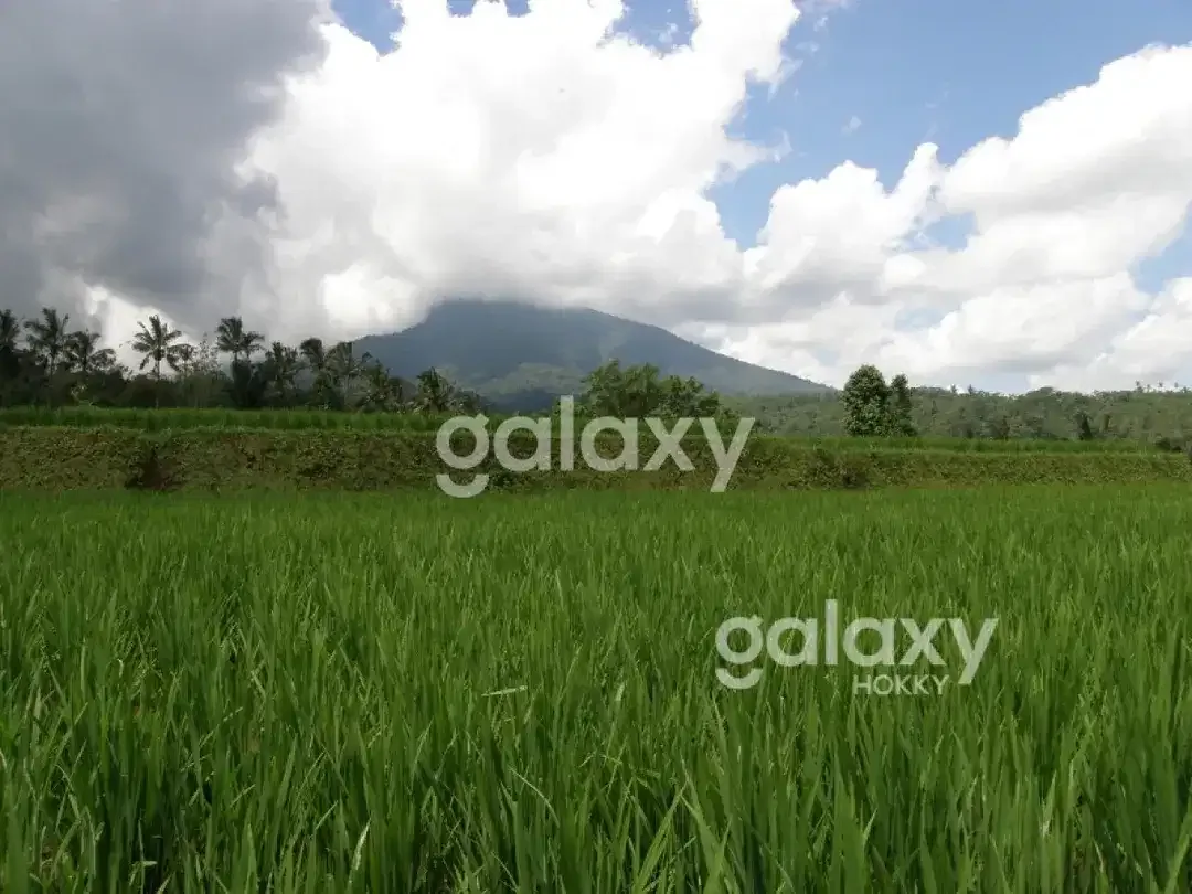 DIJUAL TANAH BR PAKA SANDA PUPUAN TABANAN, BALI - Image 6 of 6