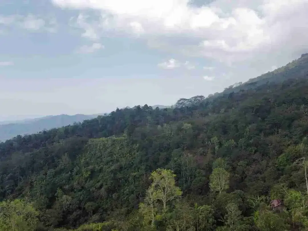 Tanah 30 Ha View Alam Kawasan Turyapada Buleleng - Image 5 of 8