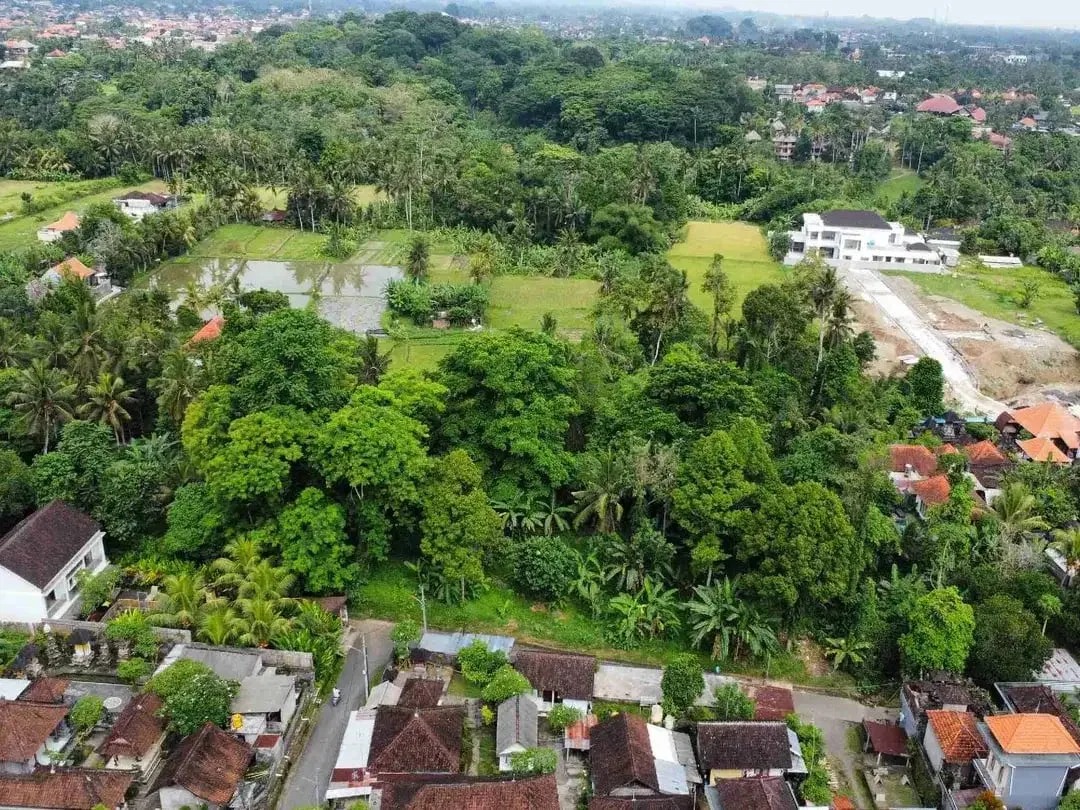 Tanah Murah di Sentral Ubud Dekat Restoran dan Fasilitas Umum - Image 4 of 10