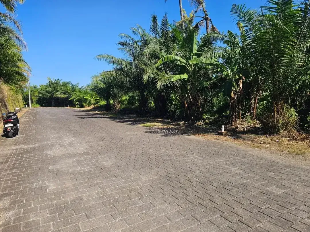 Tanah view sawah Greenlot munggu - Image 4 of 10