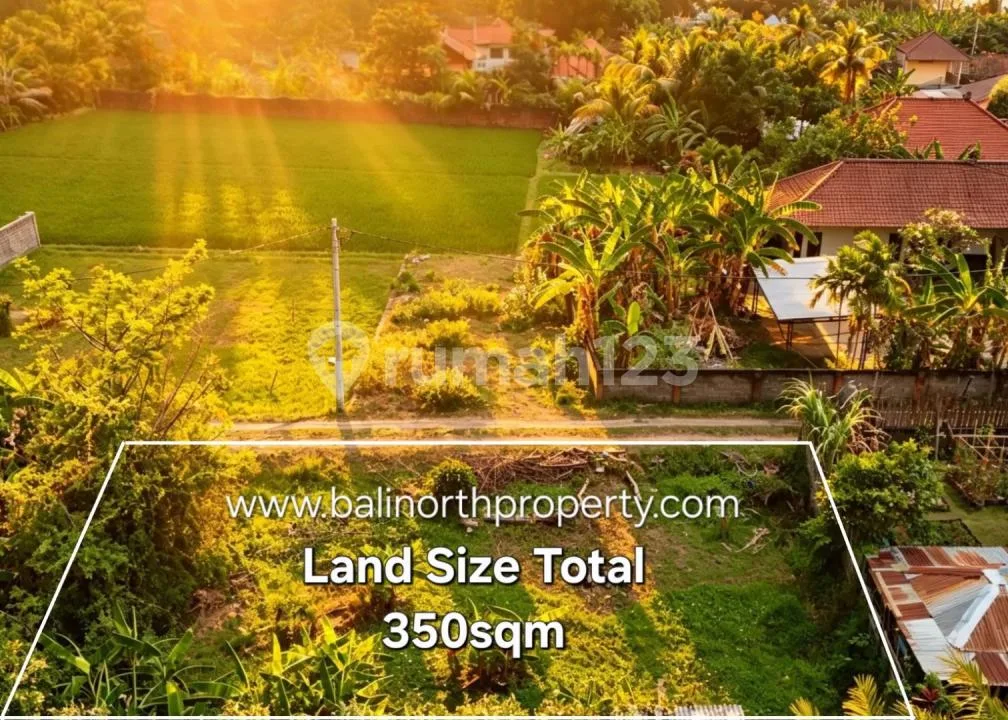 Prime Land Near Beach - Anturan, Lovina With Mountain Views - Image 2 of 4
