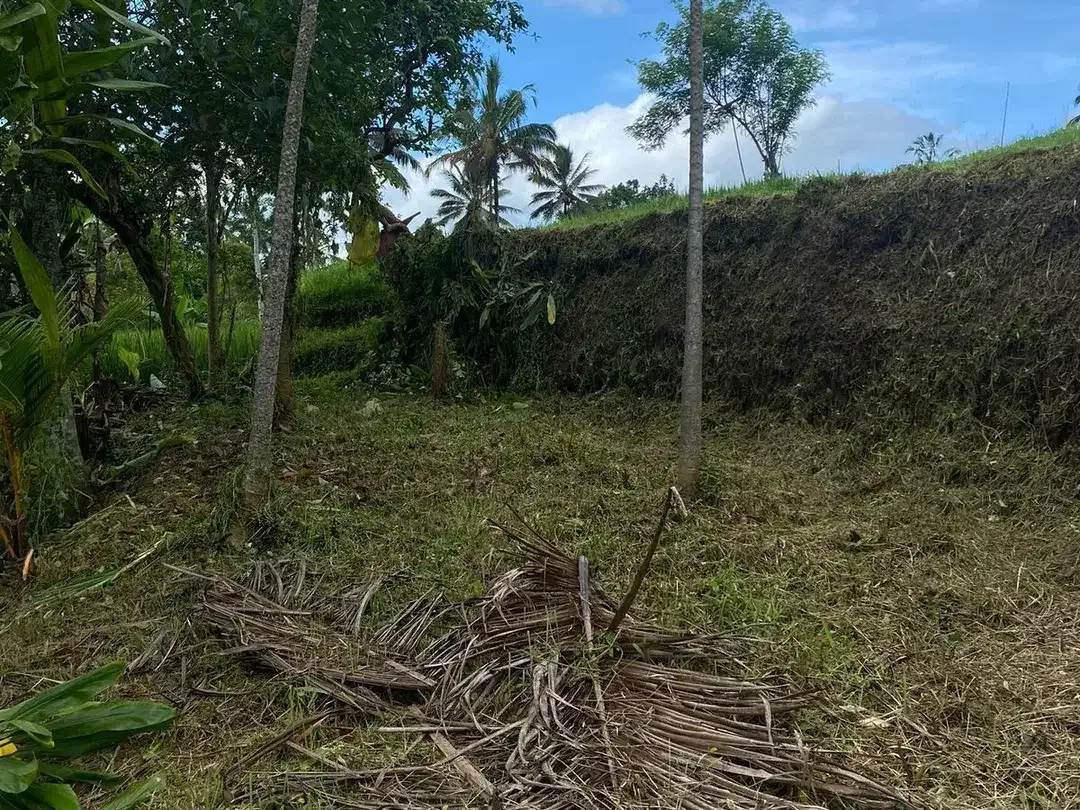 Land for sale in Tegallalang, Bali - Image 7 of 10