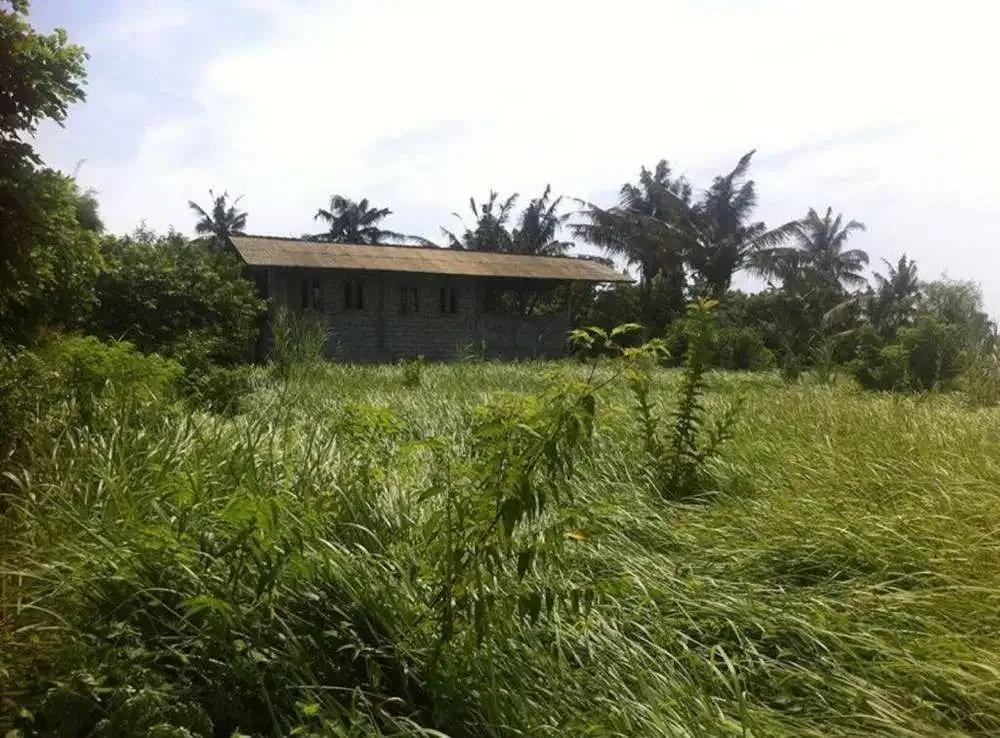 BUC DIJUAL TANAH VIEW LAUT LOKASI GIANYAR - Image 5 of 6