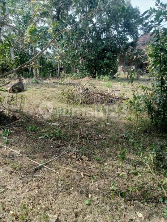 Jual Cepat Tanah Murah di Kota Negara Bb Agung Dekat Alun Alum Kota Tabanan Murah - Image 4 of 4